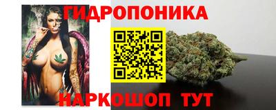 скорость Пугачёв