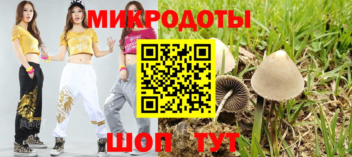 Псилоцибиновые грибы Psilocybe Обь